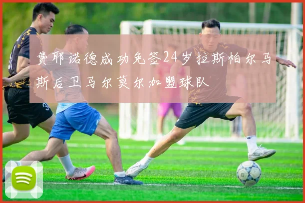 费耶诺德成功免签24岁拉斯帕尔马斯后卫马尔莫尔加盟球队
