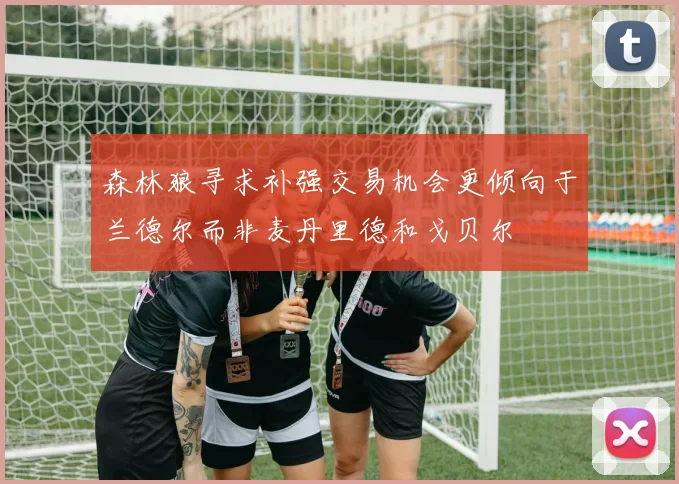 森林狼寻求补强交易机会更倾向于兰德尔而非麦丹里德和戈贝尔